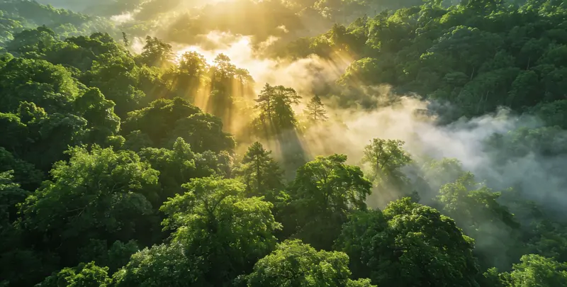 宜春肺癌（EGFR T790M)突变检测图片1