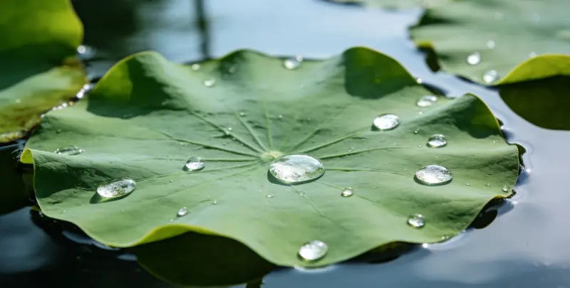 宜春乳腺癌21基因mRNA表达分析图片1