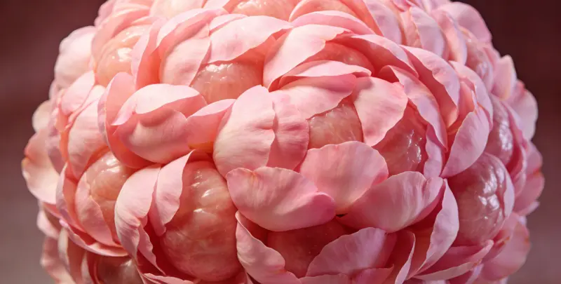 宜春BRCA1/2乳腺癌卵巢癌基因检测图片1